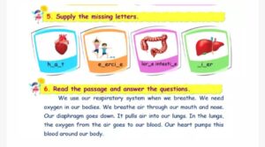 كورس إنجليزي للصف الرابع الابتدائي